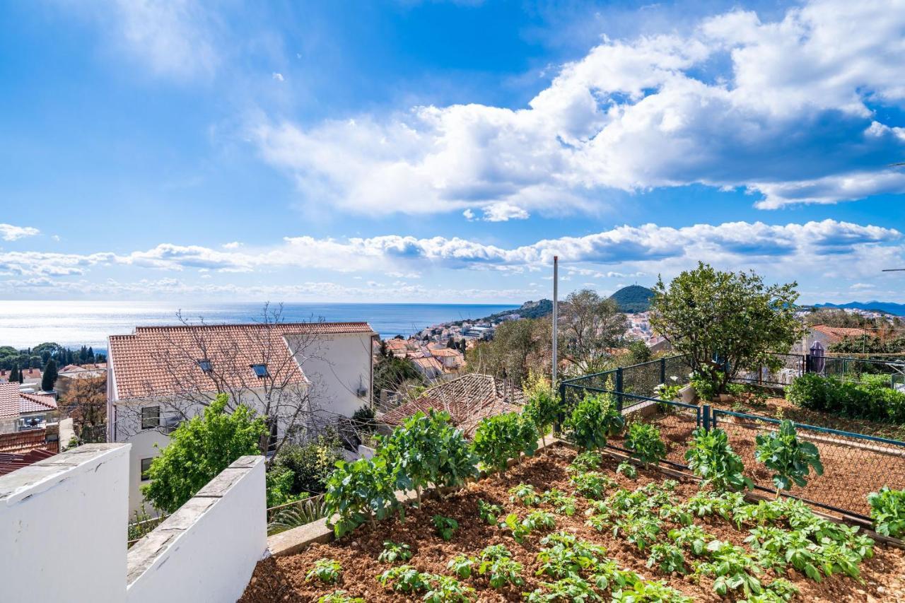 Debos Dubrovnik
